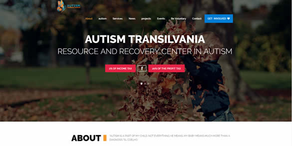 Transylvanian Autism Association